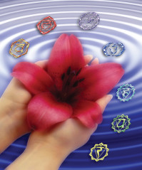 chakras pic