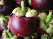 mangosteen photo