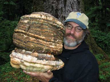 paul stamets