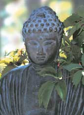 buddha photo